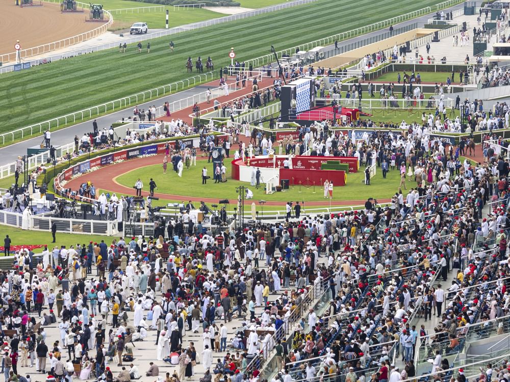 Dubai World Cup to be broadcast to record 170 countries