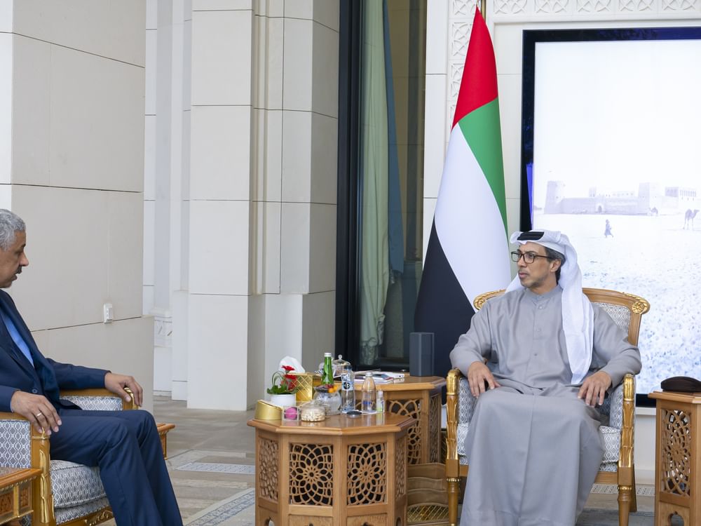 Mansour bin Zayed receives President of African Development Bank 