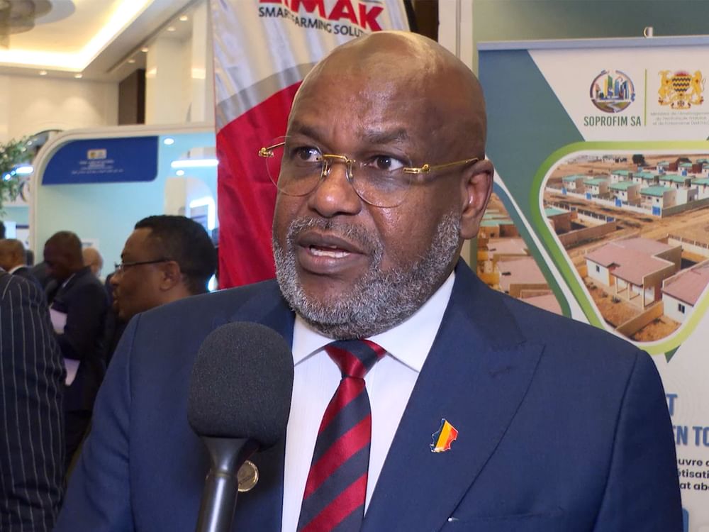 Le ministre tchadien salue le forum Émirats arabes unis–Tchad comme une passerelle vers le développement et l’investissement