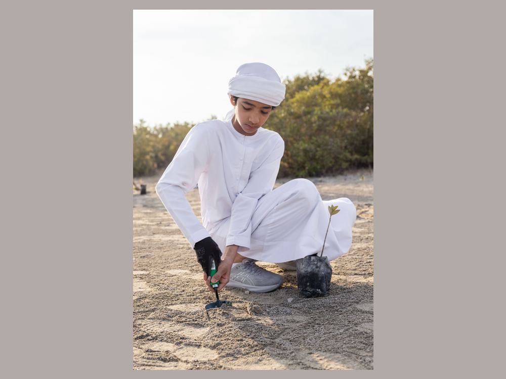 DEWA supports biodiversity, restoration of mangrove forests in cooperation with DECCA