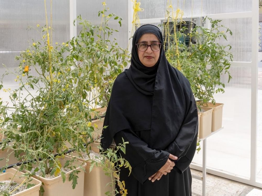 "سيدات أعمال عجمان” يدعم مشاريع الزراعة المنزلية 