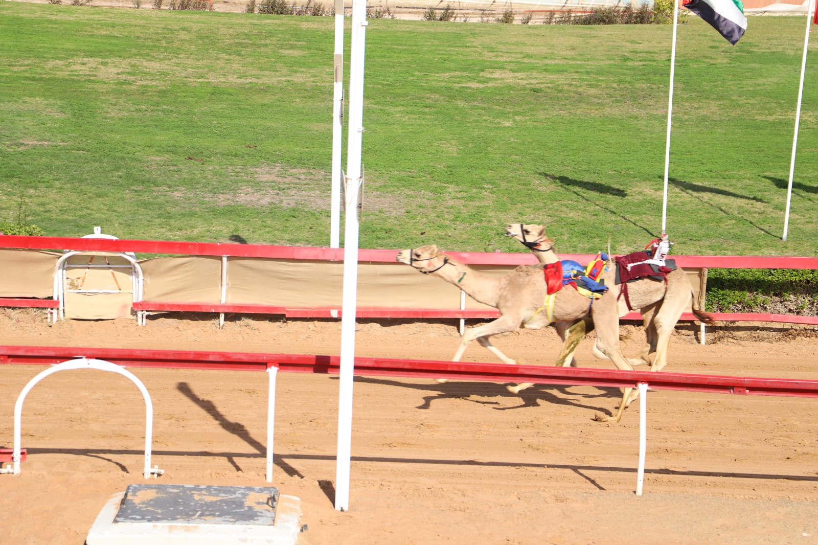 Sorry! Image not available at this time