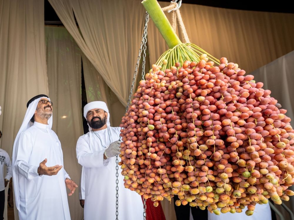 انطلاق النسخة الثالثة من “دبي للرطب” 