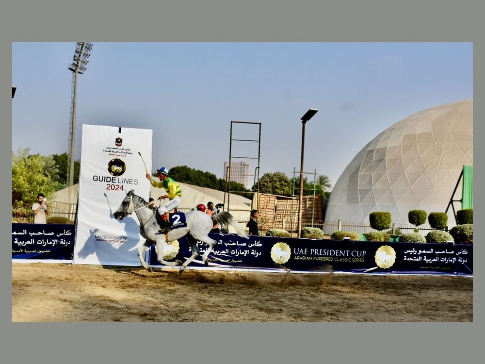 مضمار الجزيرة بالقاهرة يستضيف المحطة الـ 15 من كأس رئيس الدولة للخيول العربية الأصيلة