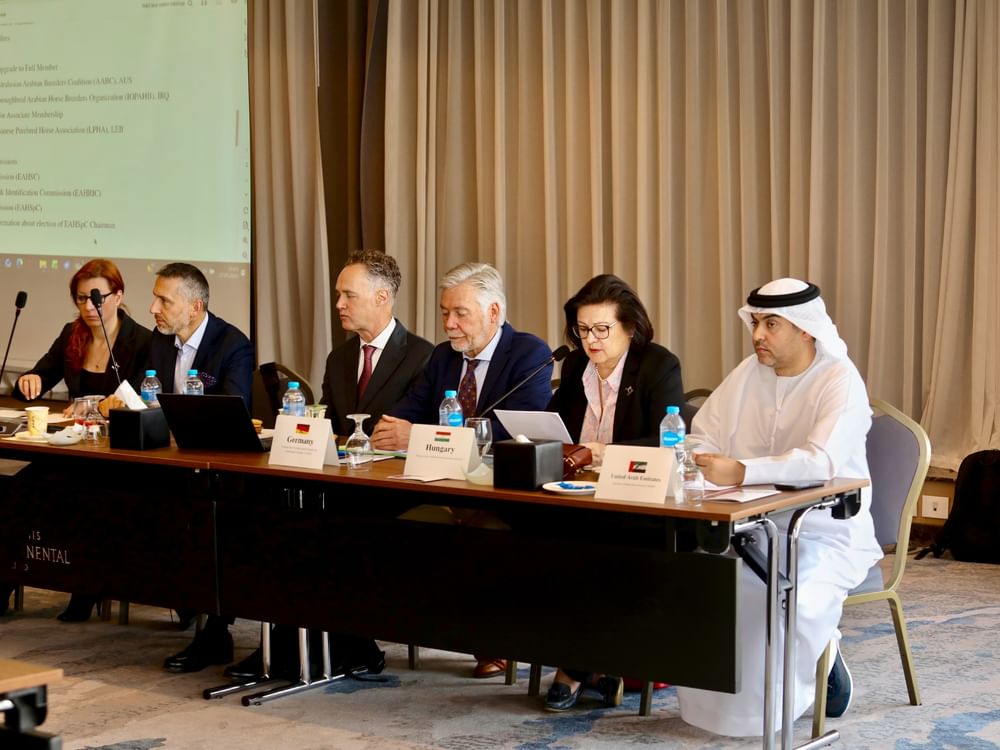 الإمارات تعزز ريادتها العالمية في جمال الخيل العربية بزيادة بطولاتها المصنفة ضمن الفئة “A”