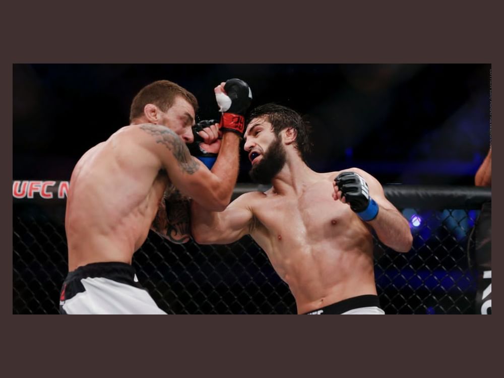 "الطريق إلى دبي" تجمع نزالا مرتقبا بين أرتيم لوبوف وزبير توخوجوف 3 أكتوبر