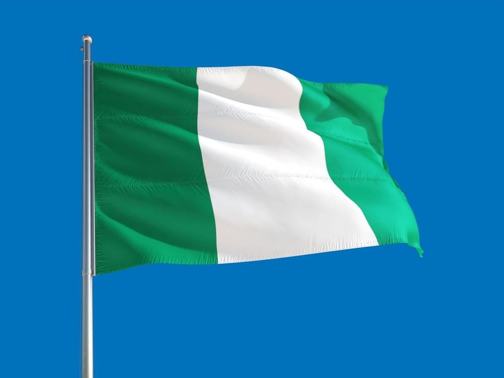 Nigerian army kills 150 gang members in ambush