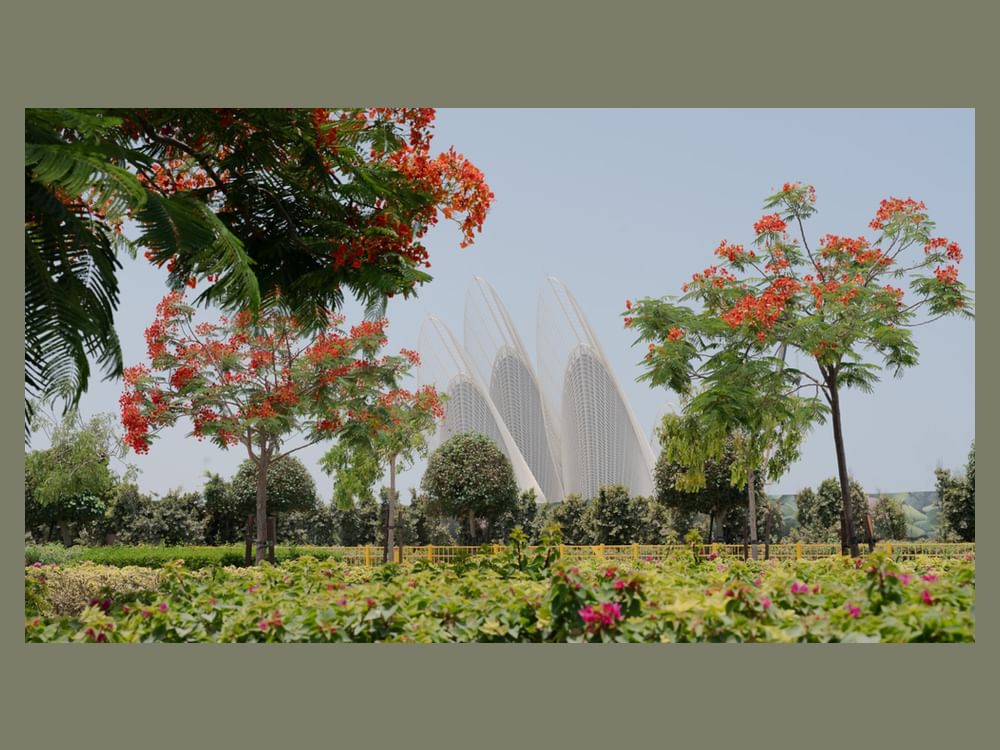 المرأة الإماراتية/ دور بارز في مسيرة متحف زايد الوطني