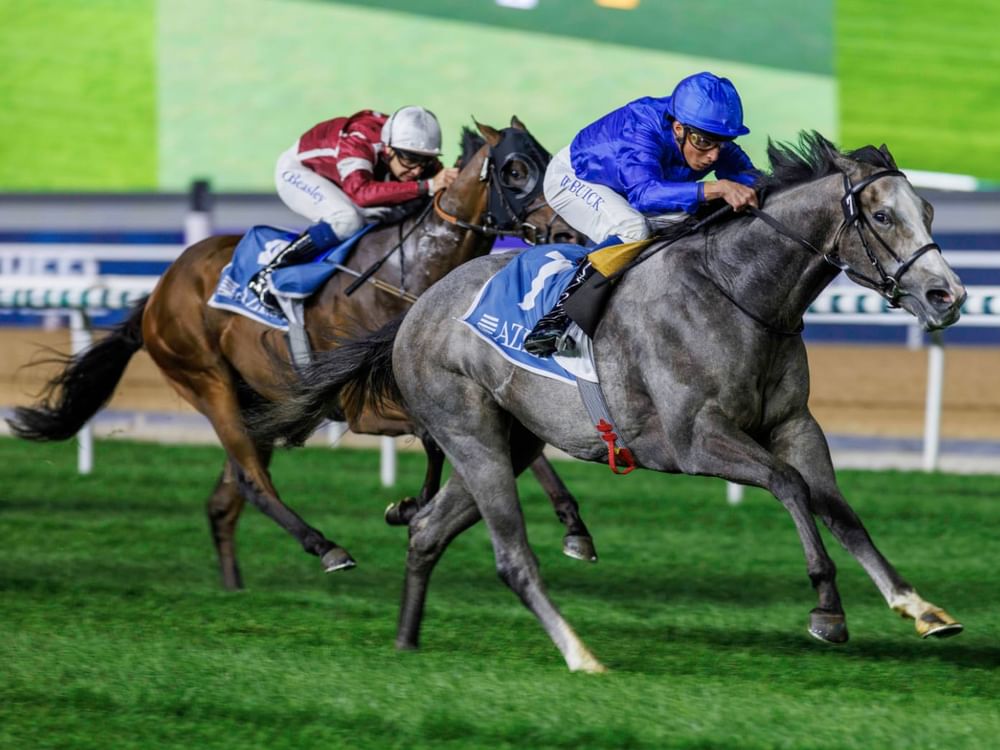 109 خيول تتنافس في الأمسية الـ11 من كرنفال سباقات دبي 