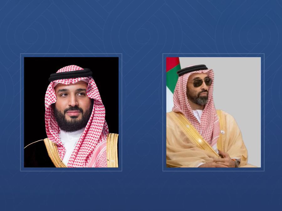 Saudi Crown Prince receives Tahnoon bin Zayed