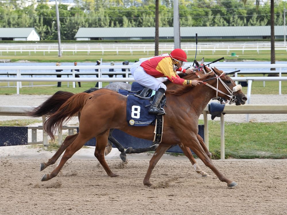 RB Malexis wins American leg of UAE President’s Cup for Purebred Arabian Horses