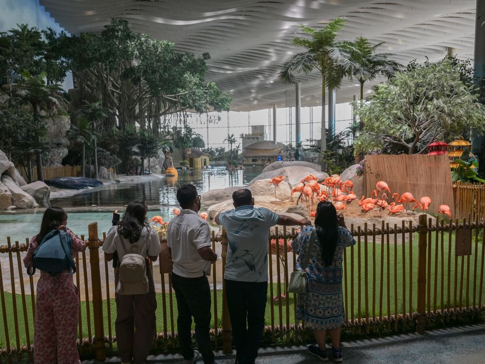 SeaWorld Abu Dhabi enriches marine knowledge, entertainment