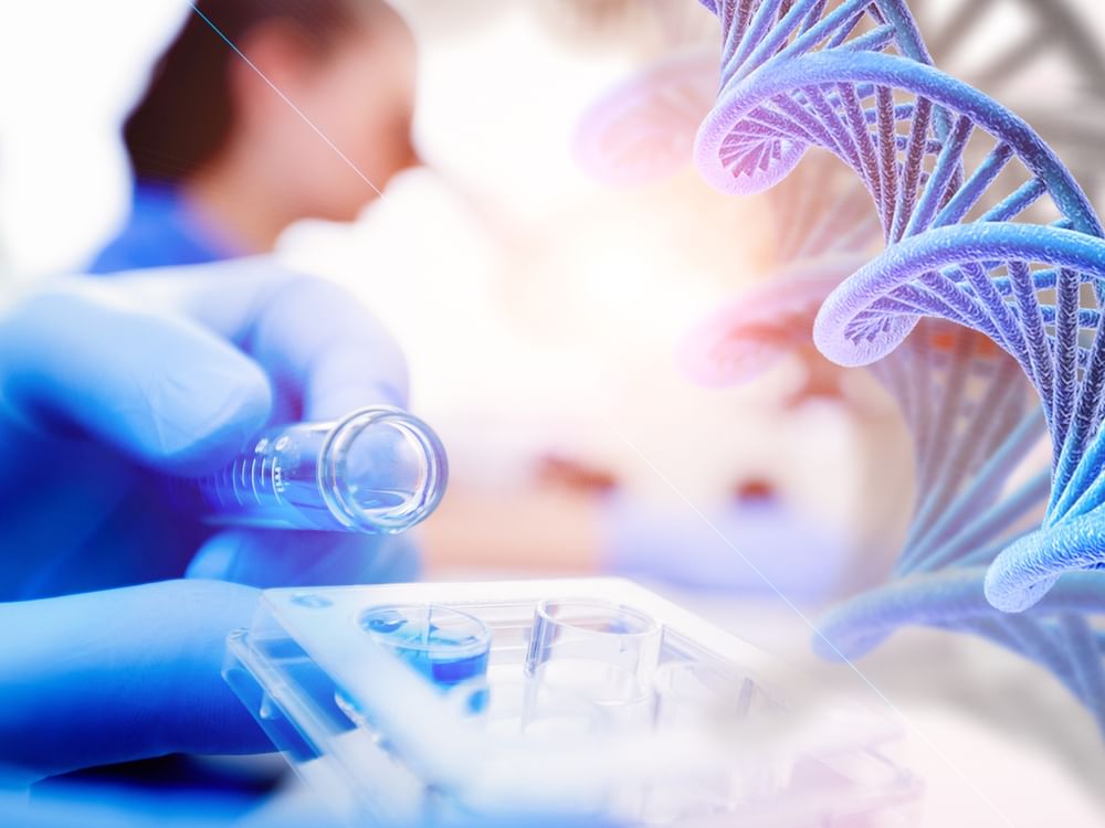 Dubai to host Regenerative Medicine Conference 2025