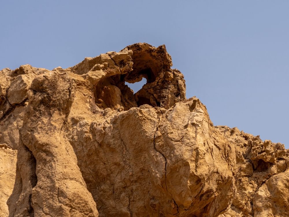 Faya Research Grant Programme attracts global institutions, advances Sharjah’s archaeological leadership