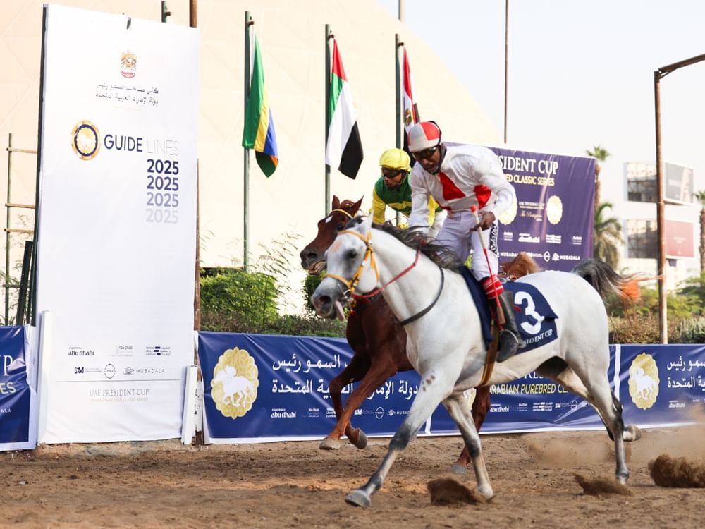 الجواد "فهد الأمين" يفوز بلقب كأس رئيس الدولة للخيول العربية في مصر