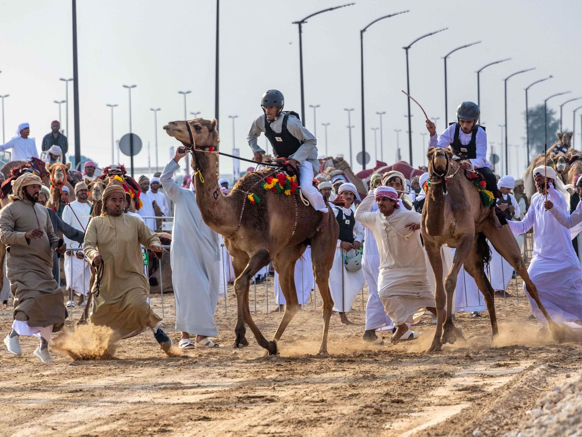 إثارة وتحدي في ختام مهرجان ولي عهد دبي للهجن