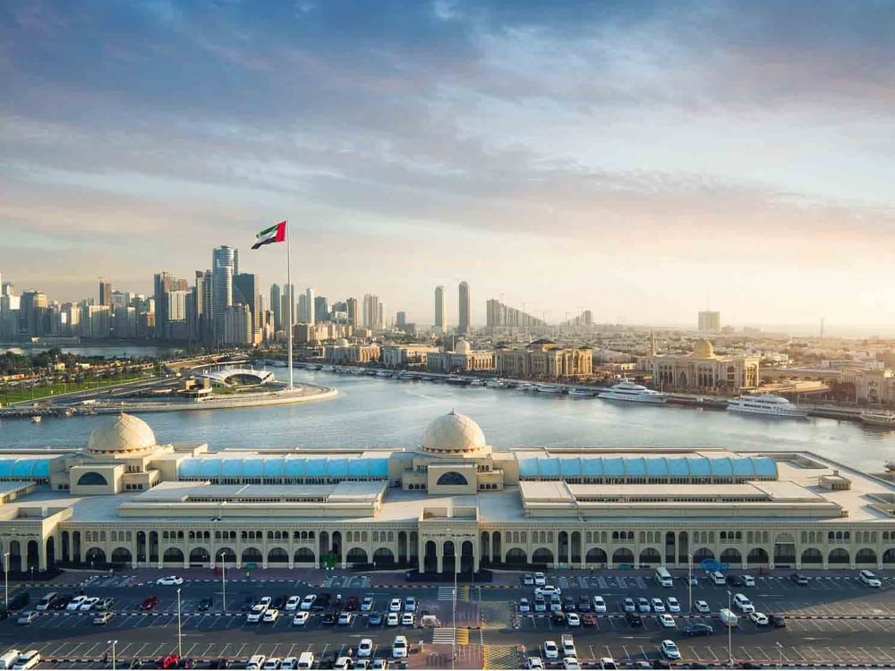 الذيد .. مدينة تستعيد المجد وتبني المستقبل