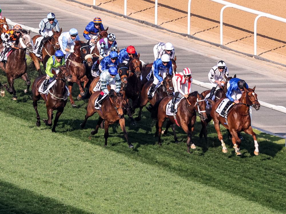 Thirtieth edition of Dubai World Cup to be run on March 28