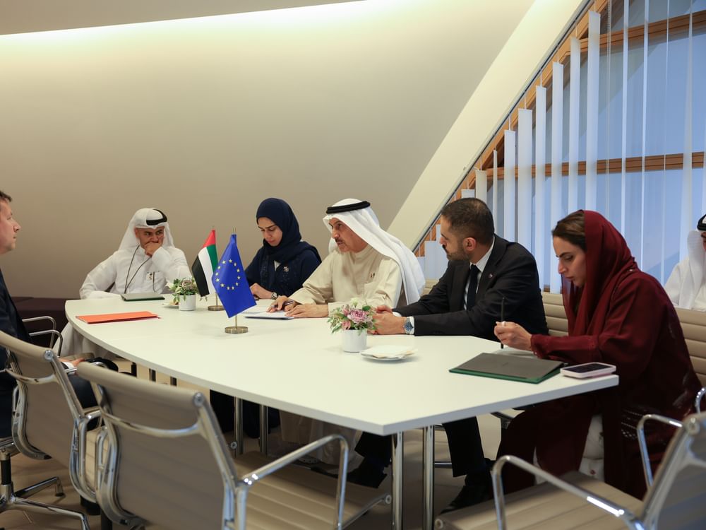 FNC Speaker meets European Parliament official to enhance UAE-European security, development ties