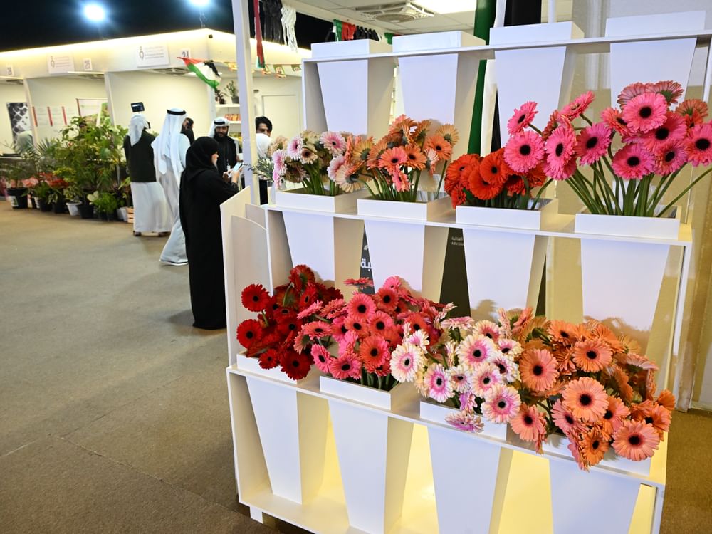 "الوثبة للزهور" منصة للابتكار الزراعي في مهرجان الشيخ زايد