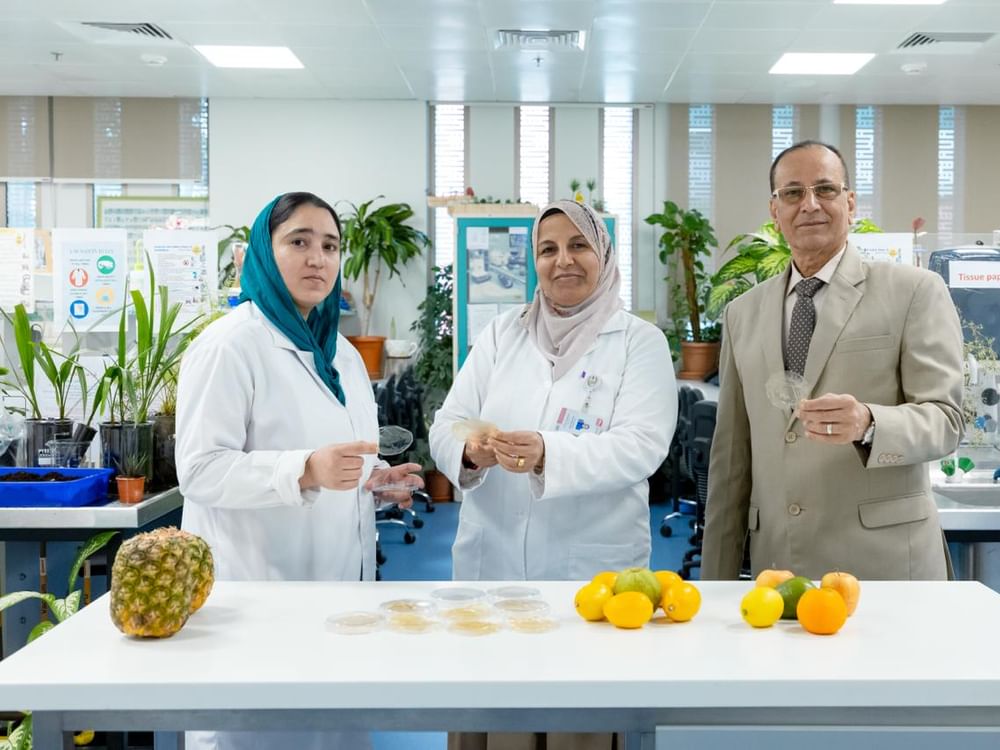 فريق بحثي من جامعة الإمارات يبتكر غشاءً مستداماً حافظا للأغذية 