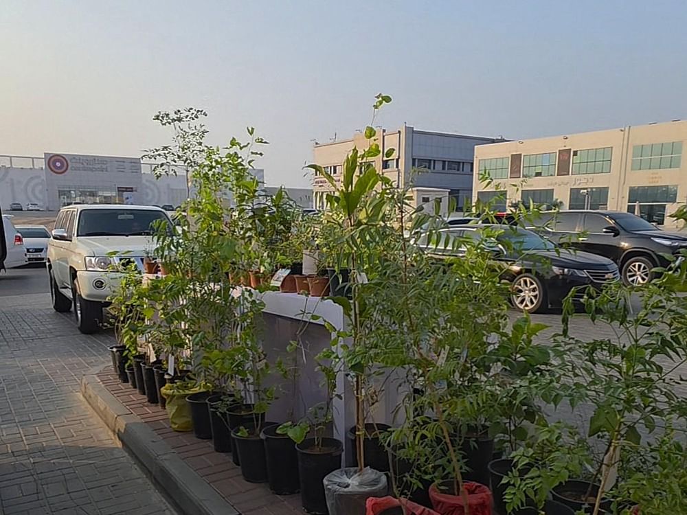 بمناسبة يوم الزراعة العربي.. "اقتصادية رأس الخيمة" توزع شتلات مثمرة لتشجيع الزراعة المنزلية