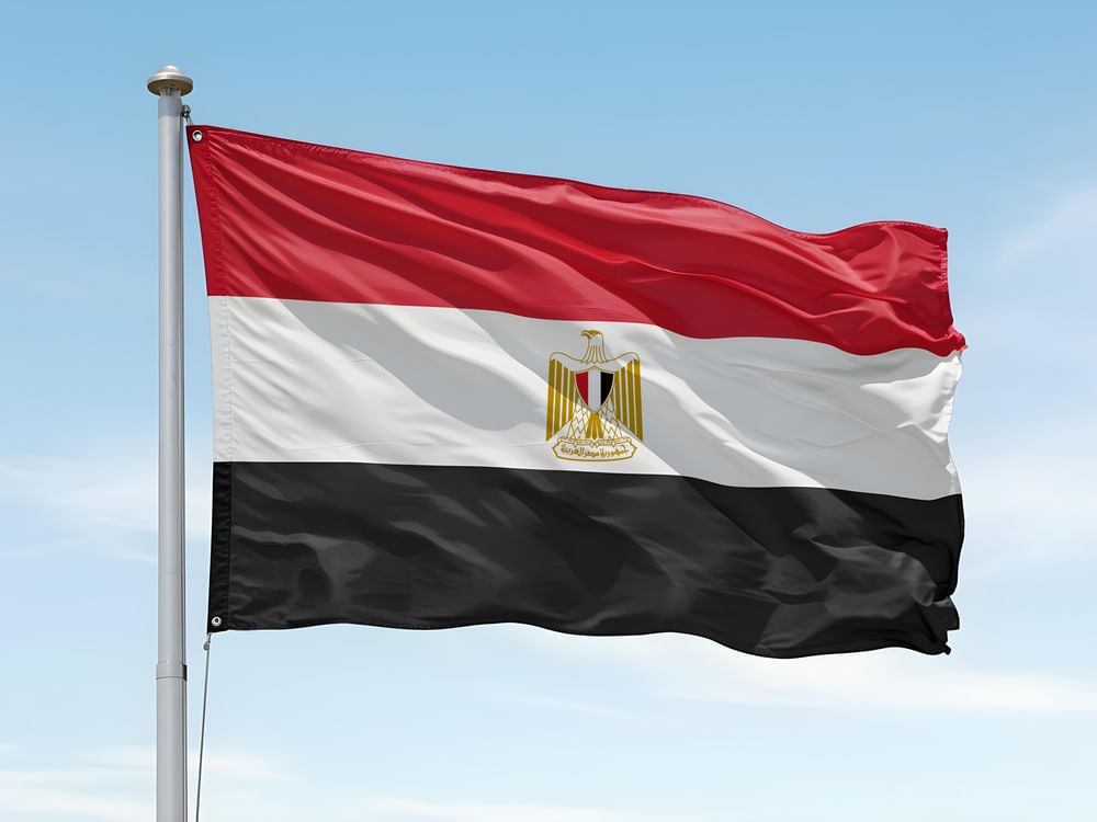 Nine killed in clothing factory fire in Cairo