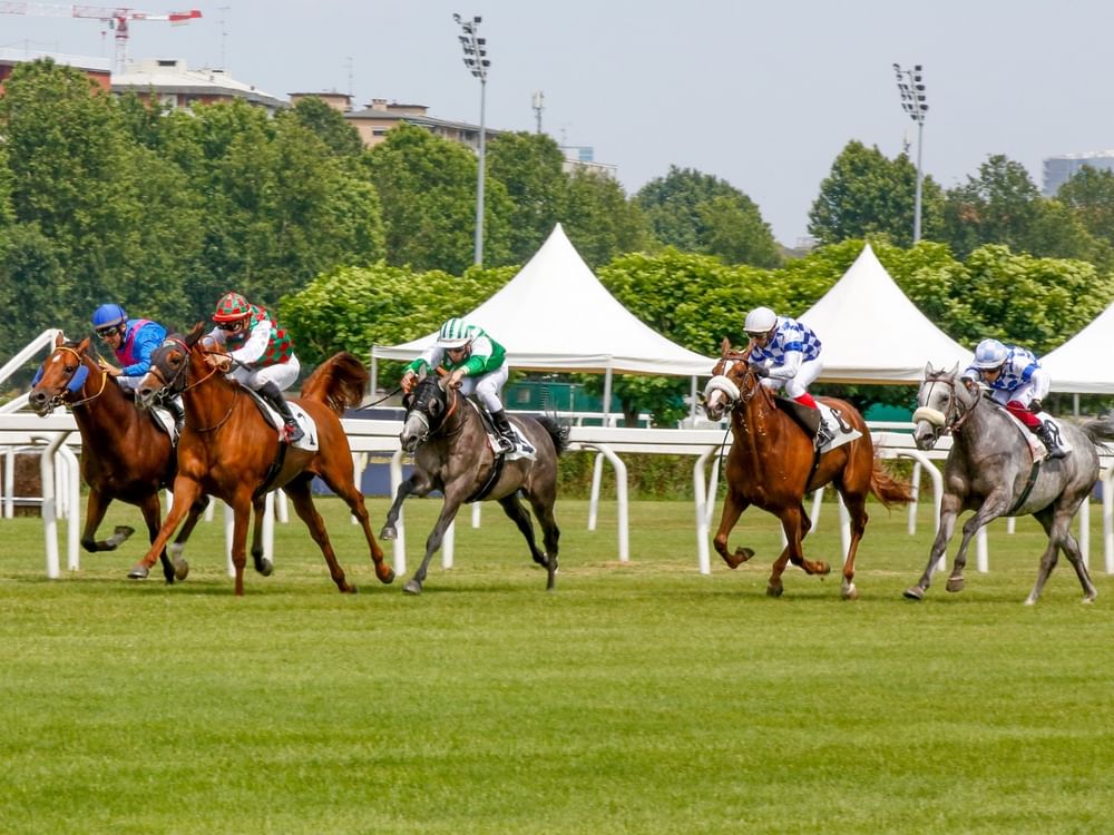 Fifth round of 32nd UAE President’s Cup Series for Purebred Arabian Horses starts in Rome