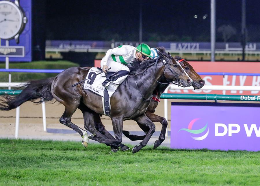 DP World to sponsor $5m Dubai Turf at Dubai World Cup