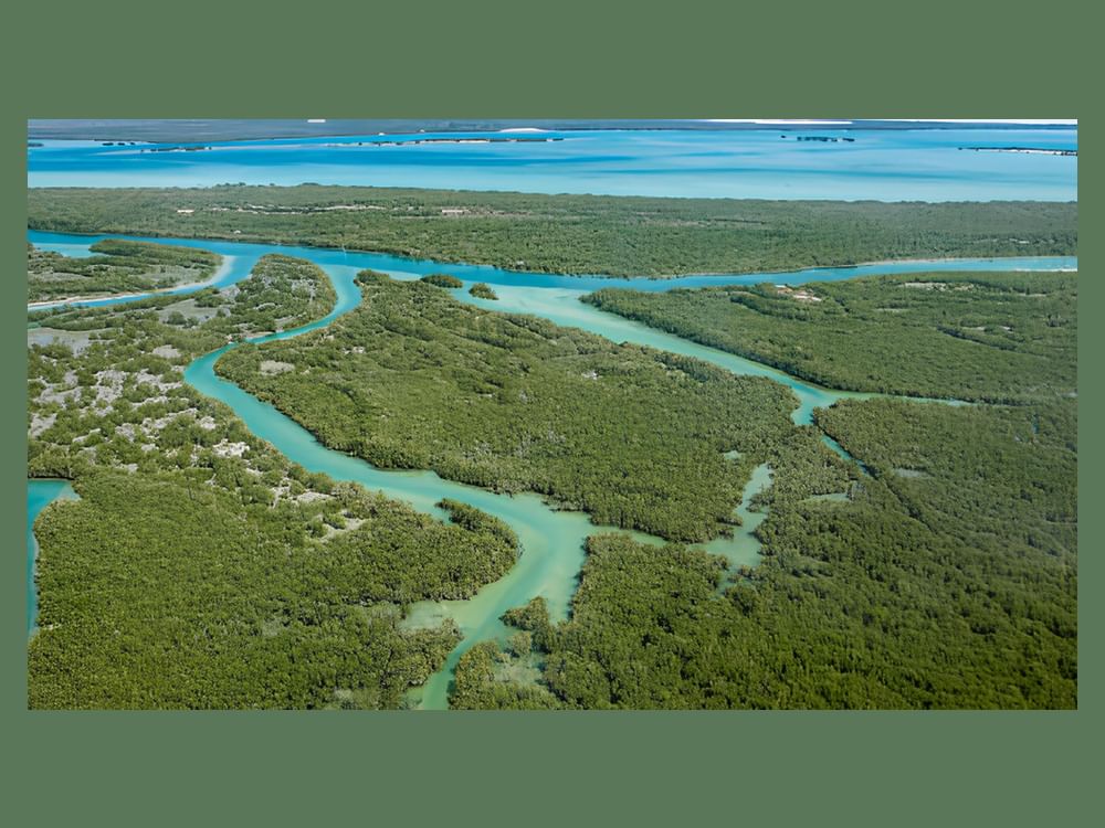 L’Agence pour l’environnement d’Abou Dhabi certifiée neutre en carbone pour la 2ᵉ fois