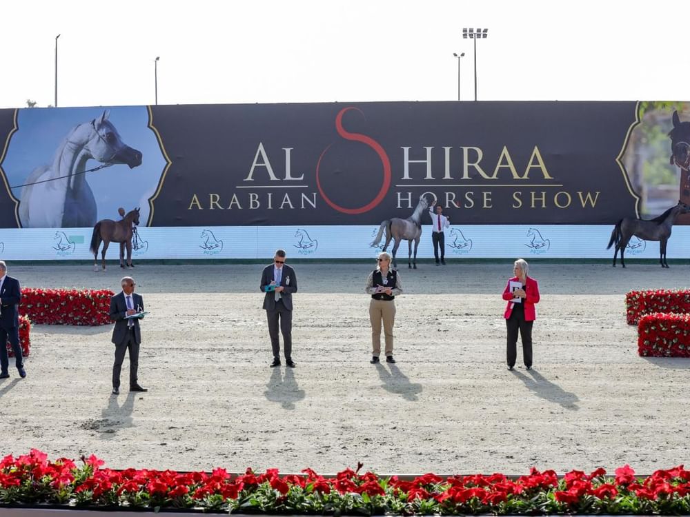 بطولة الشراع الدولية لجمال الخيل..