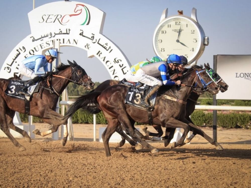 Sharjah racecourse season to open on Sunday