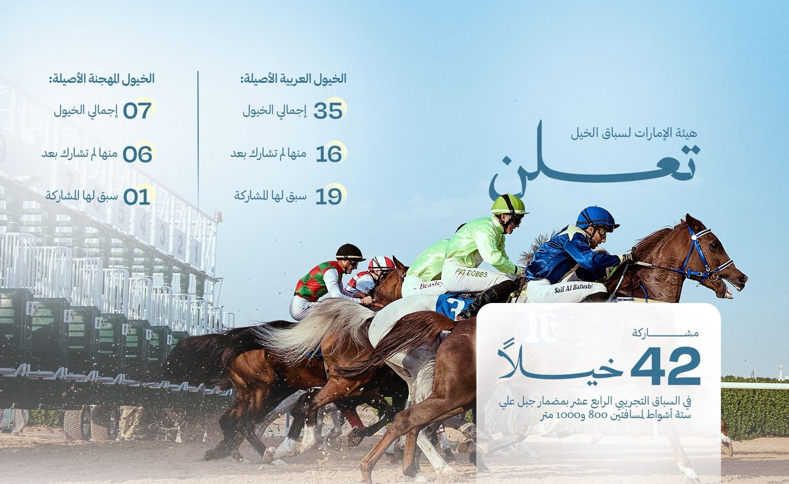 42 Horses participate in 14th Trial Race at Jebel Ali Track