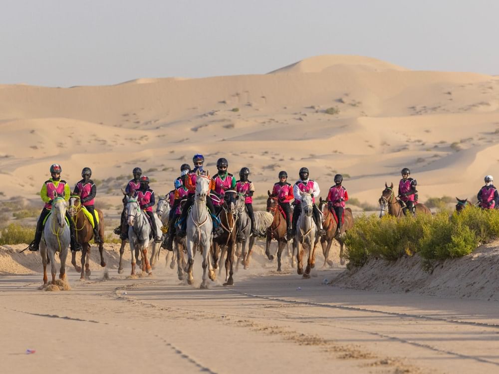 مشاركات : سباقات مهرجان سلطان بن زايد للقدرة أسهمت في تطويرمهارات الفارسات