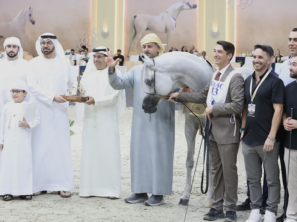 Dubai Stud’s D Seraj wins top honours at Dubai International Arabian Horse Championship