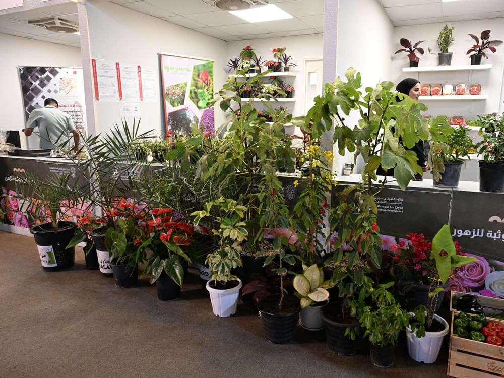 اختتام فعاليات مهرجان الوثبة للزهور في أبوظبي