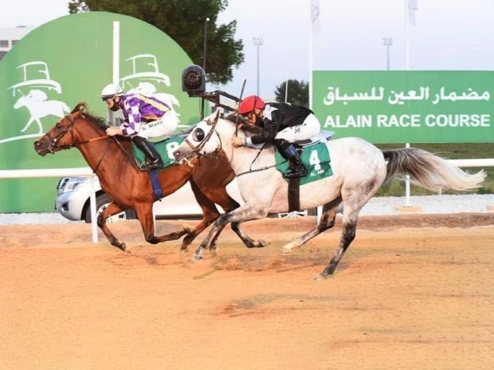 116 خيلا تتنافس غداً في "السباق السابع" على مضمار العين