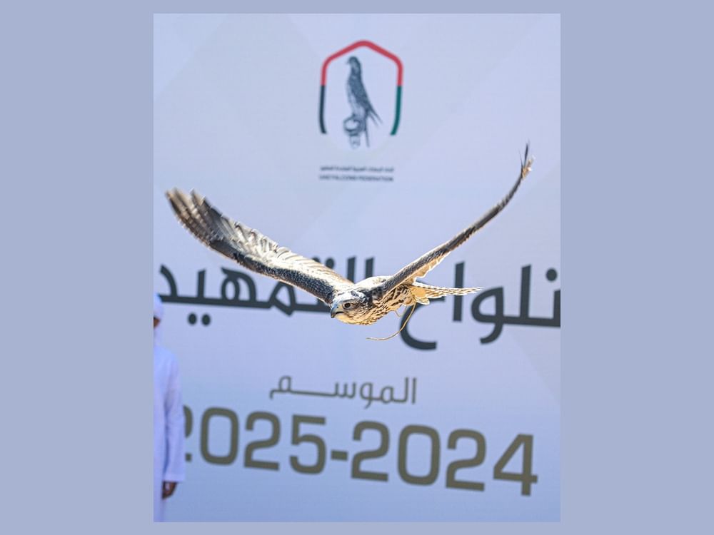 Ahmed bin Mohammed appoints Zayed bin Hamad as Chairman of Emirates Falcons International Cup