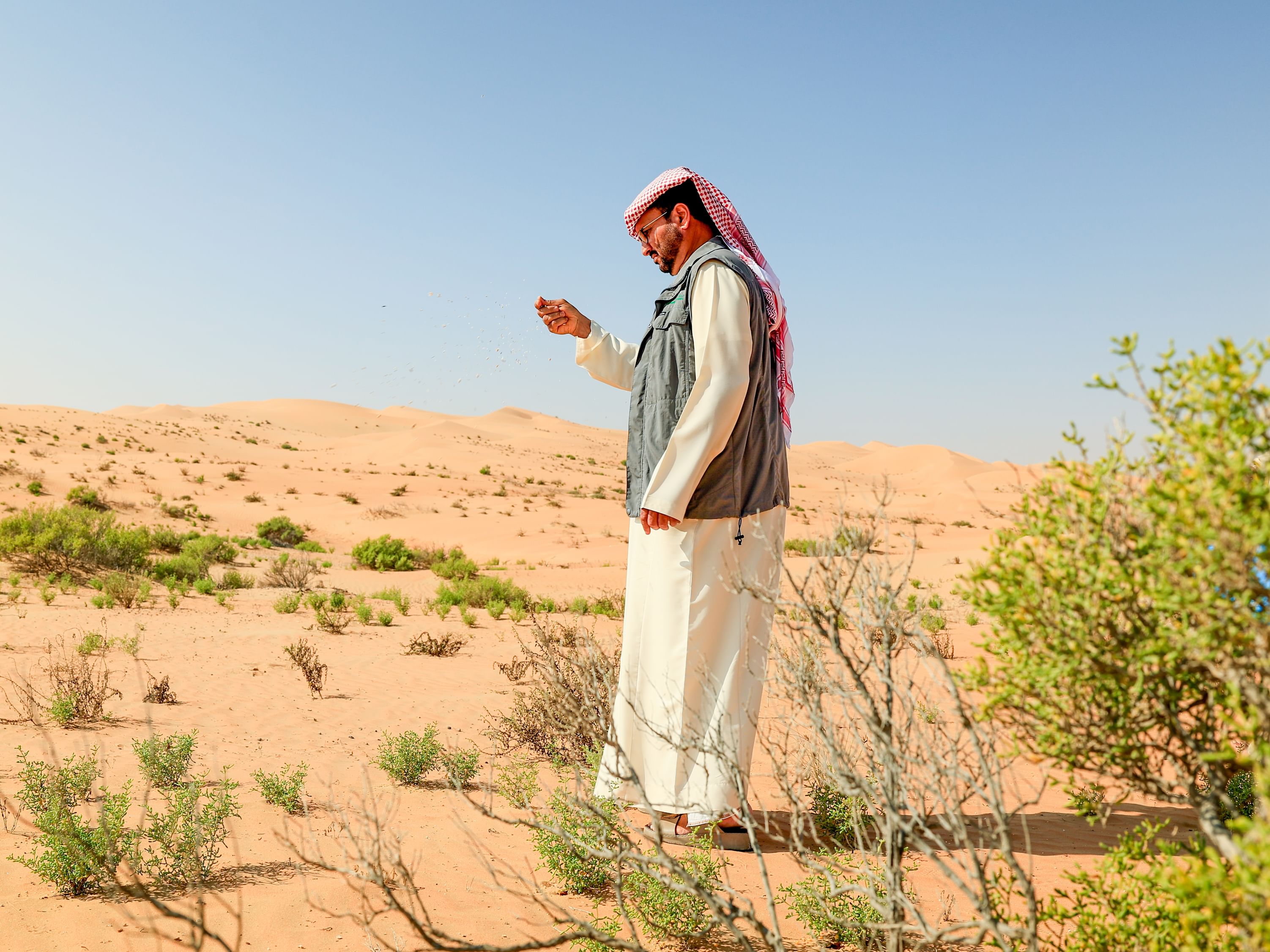Agência Ambiental de Abu Dhabi usa drones para semear 6,5 milhões de sementes