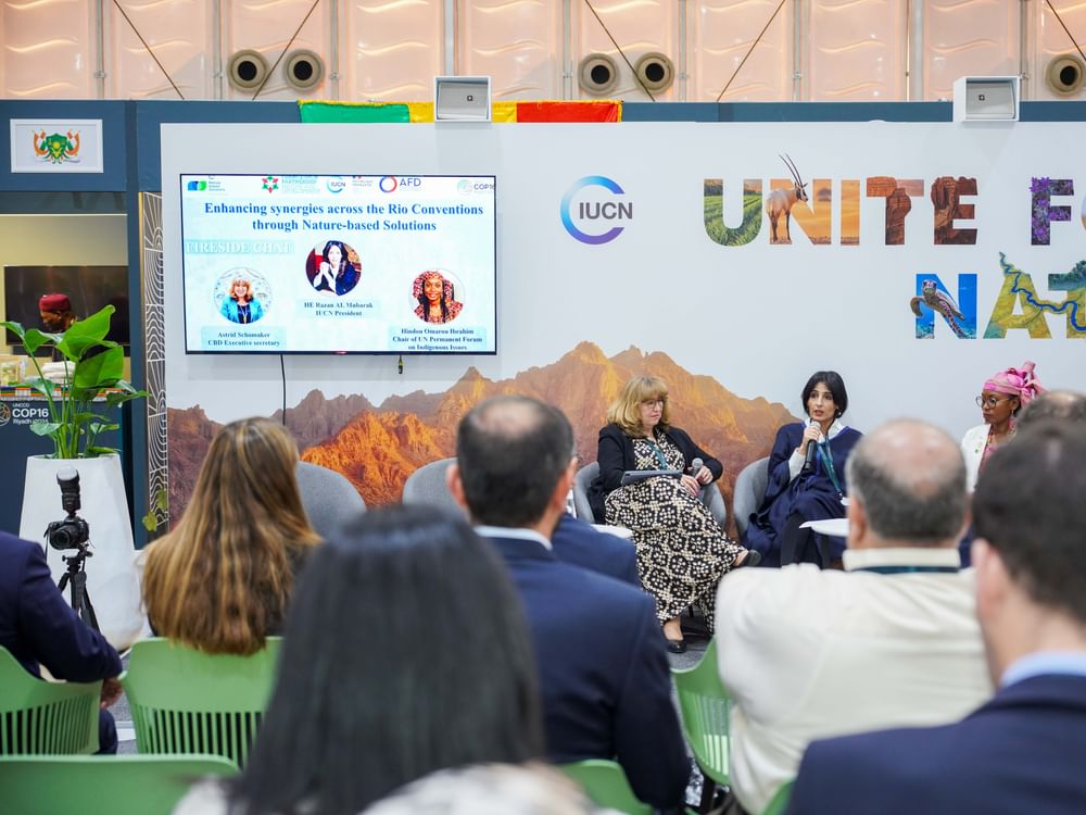 Razan Al Mubarak champions synergistic solutions at UNCCD COP16 in Riyadh