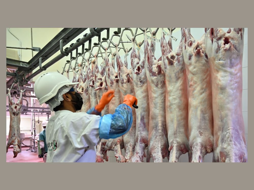 Abu Dhabi slaughterhouses ready to serve public during Eid Al-Adha