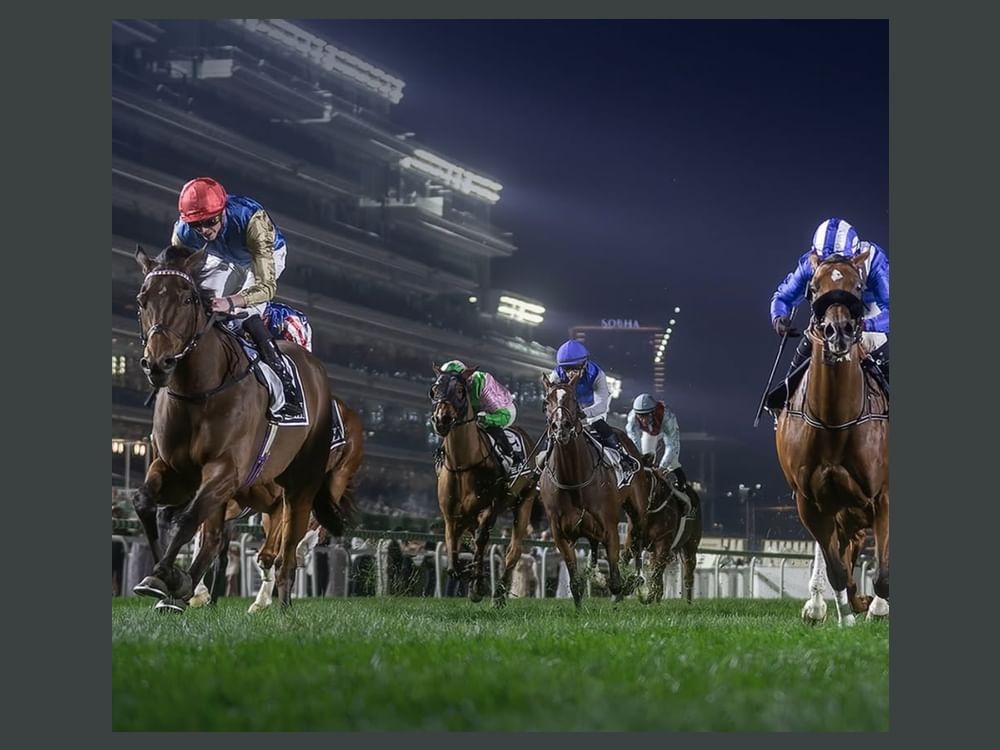 94 خيلاً تتنافس على 10 ملايين درهم في أمسية "فاشن فرايداي"