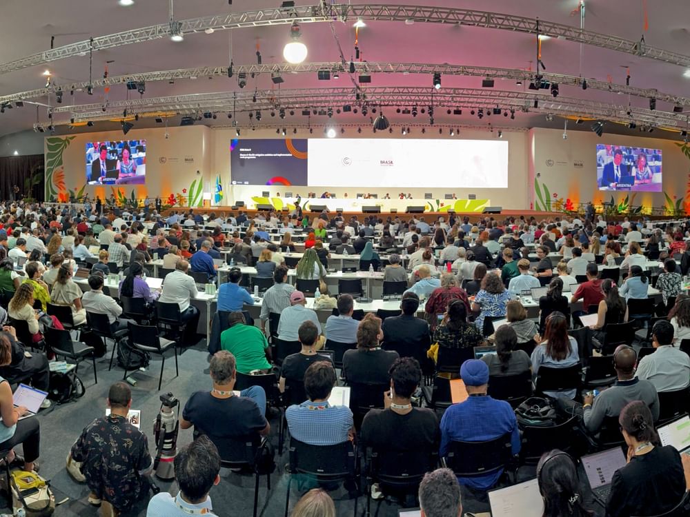 COP30 deal reached without reference to fossil fuels