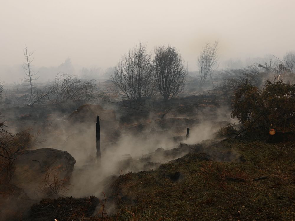 Belgium plans national action plan to tackle wildfires