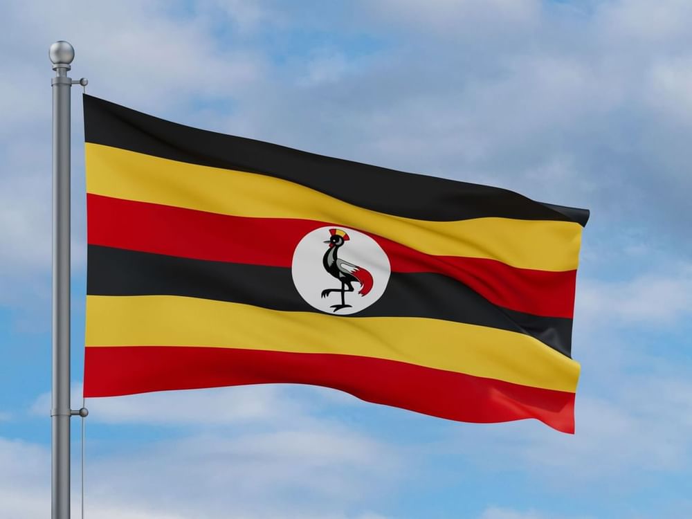 Uganda school bus crash kills 20 children