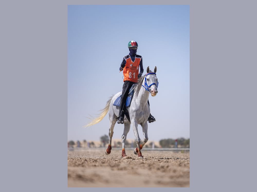 مشاركون: مهرجان سلطان بن زايد للقدرة يطور مستويات الفرسان والفارسات