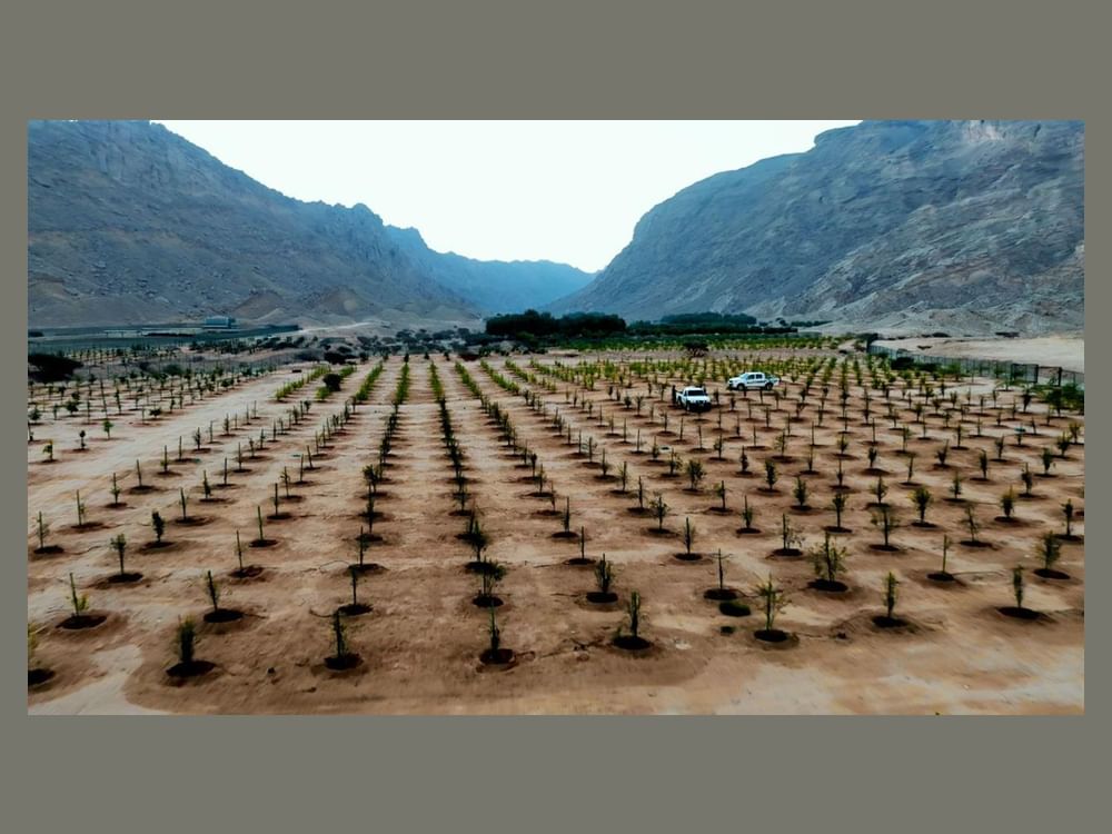 بلدية مدينة العين تستعرض مشاريعها الرائدة خلال المؤتمر والمعرض الزراعي الإماراتي 2026