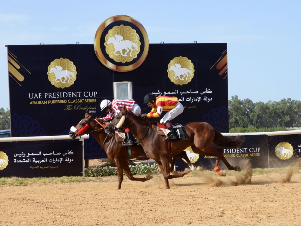 32nd edition of UAE President’s Cup for Purebred Arabian Horses kicks off Sunday in Tunisia