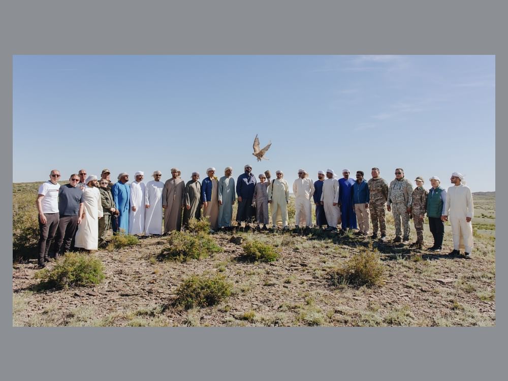 Sheikh Zayed Falcon Release Programme releases over 2,400 falcons in wild since 1995 founding