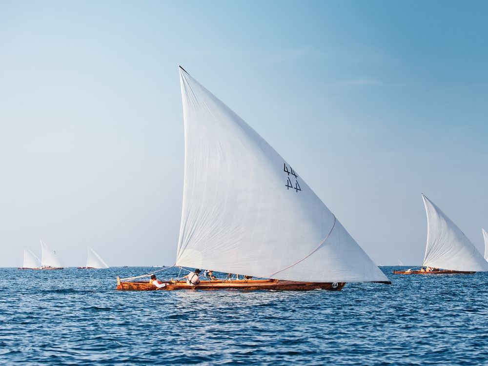"أبوظبي للرياضات البحرية" يعلن تفاصيل "سباق العالية للبوانيش"